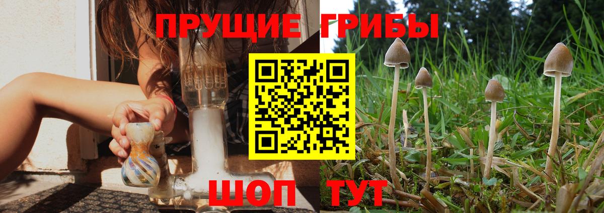 Галлюциногенные грибы ЛСД  купить закладку  Пятигорск 
