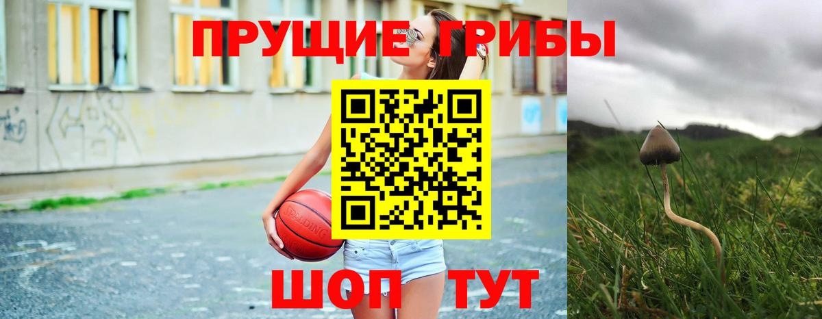 Галлюциногенные грибы мухоморы Пятигорск