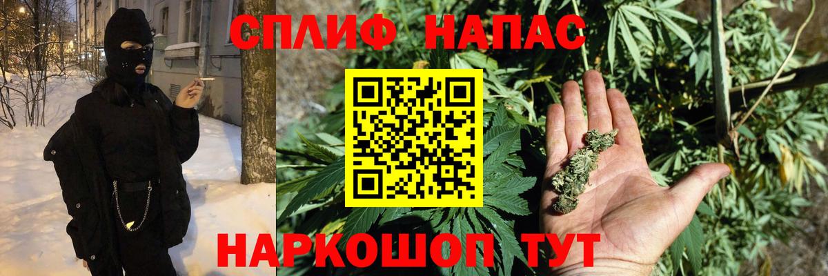 Конопля конопля Пятигорск